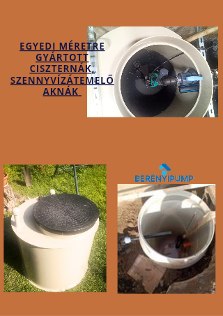 Berényi Szivattyú Szervíz